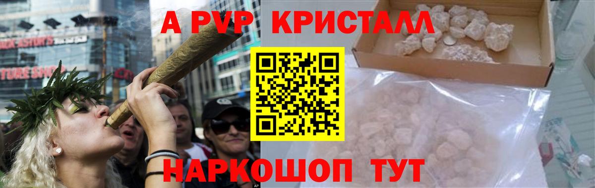 Альфа ПВП СК КРИС Беслан