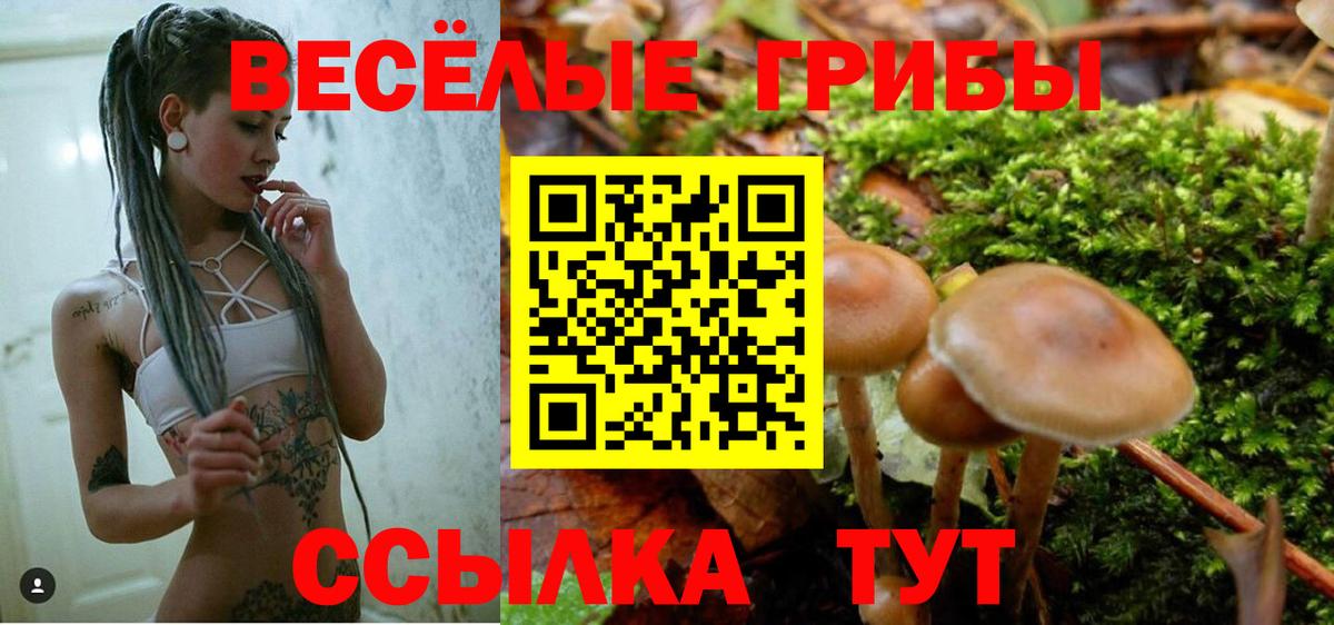 наркота  Галлюциногенные грибы Cubensis  Вход с VPN  Беслан 