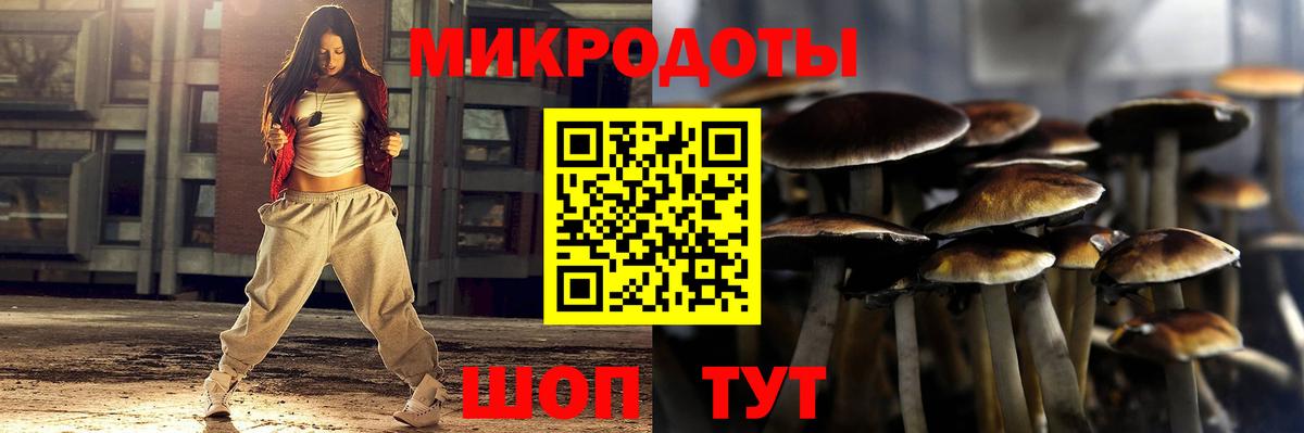 Галлюциногенные грибы GOLDEN TEACHER Беслан